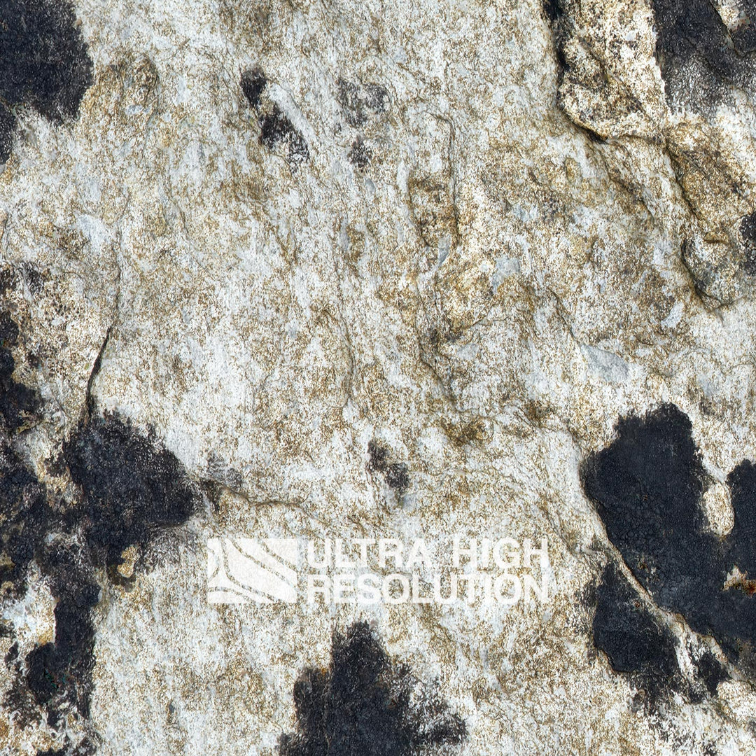 Light Grey Blotched Lichen Rock Texture (271cm x 203cm)