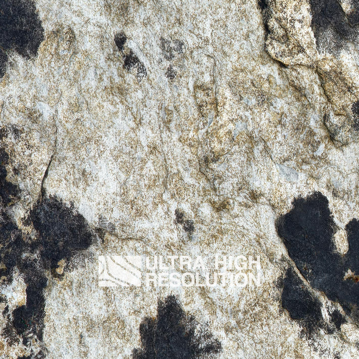 Light Grey Blotched Lichen Rock Texture (271cm x 203cm)