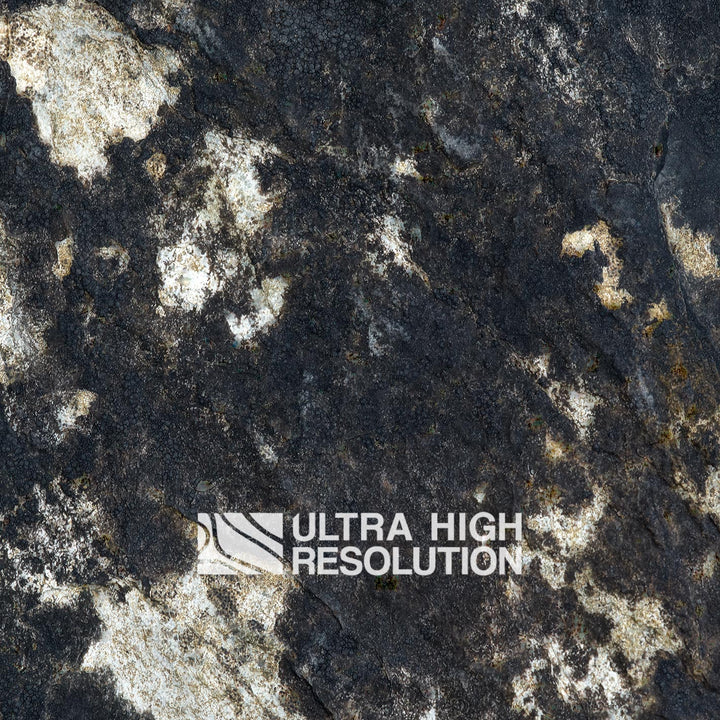 Light Grey Blotched Lichen Rock Texture (271cm x 203cm)