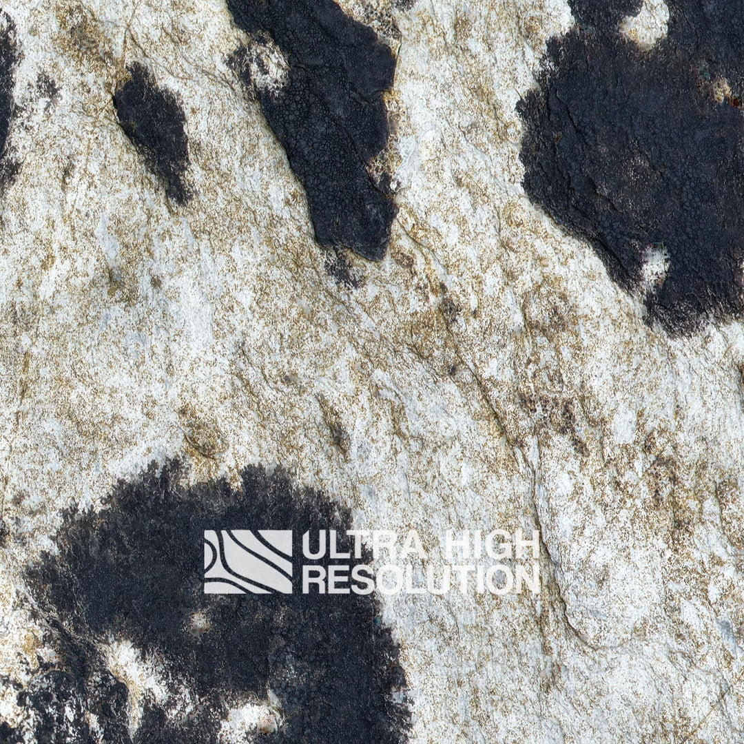 Light Grey Blotched Lichen Rock Texture (271cm x 203cm)