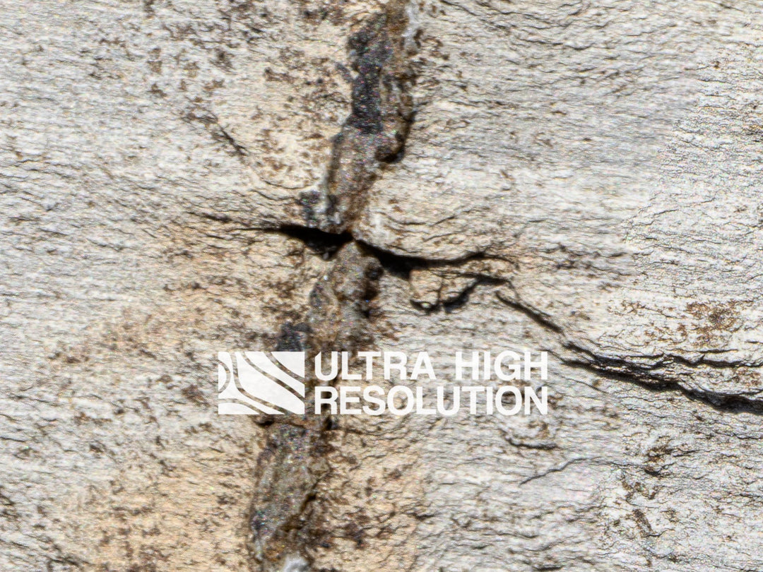 Light Grey Granite Rough Texture (342cm x 146cm)