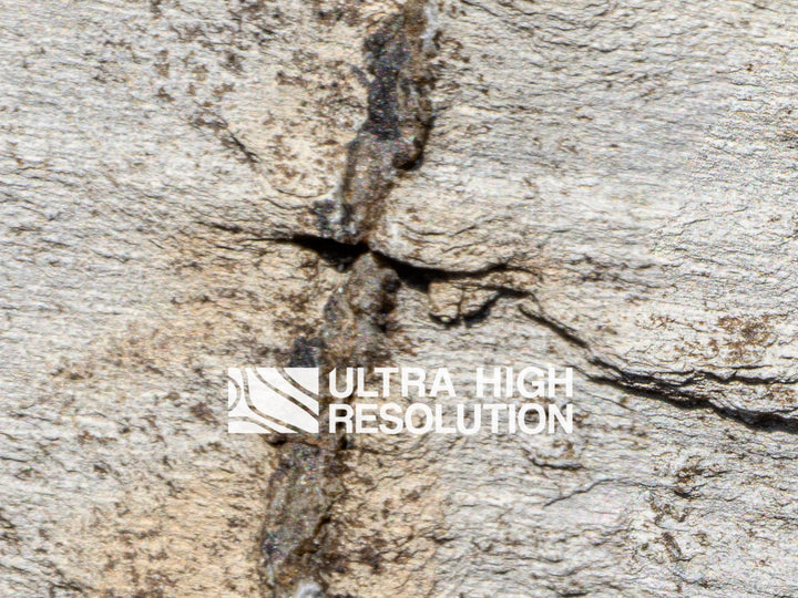 Light Grey Granite Rough Texture (342cm x 146cm)