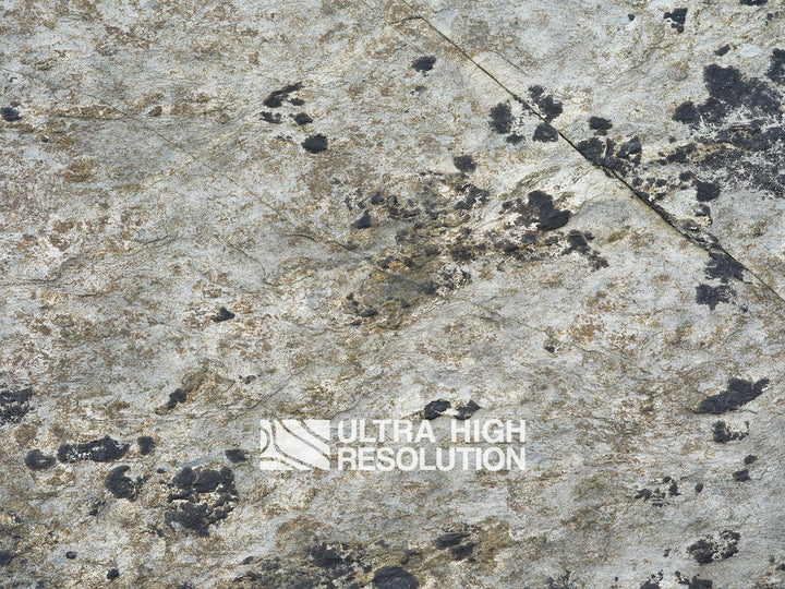 Light Grey Lichen Mottled Rock Texture (271cm x 203cm)