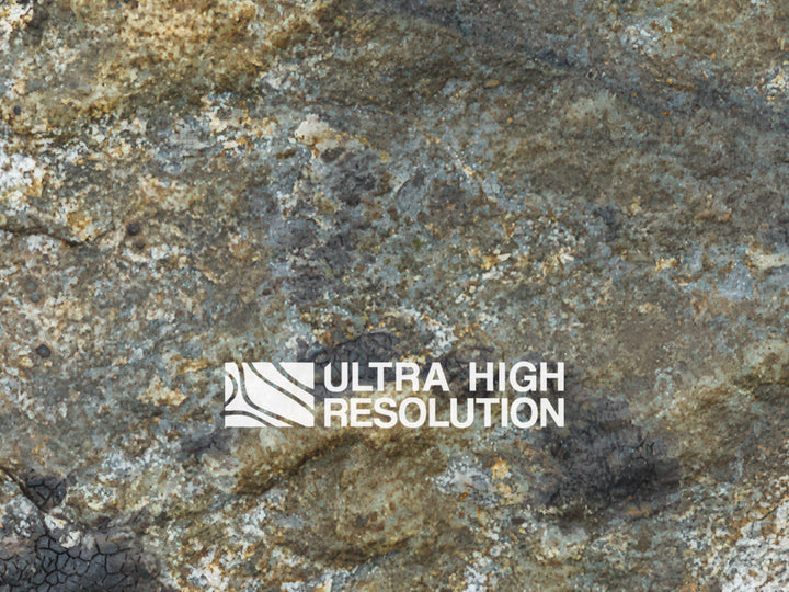 Light Grey Lichen Mottled Rock Texture (271cm x 203cm)