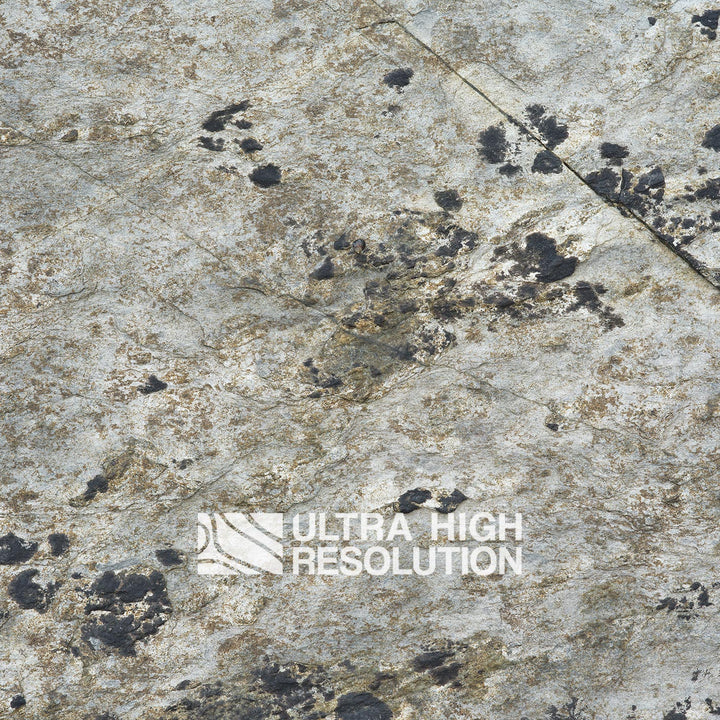 Light Grey Lichen Mottled Rock Texture (271cm x 203cm)