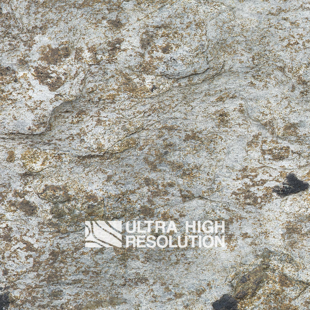 Light Grey Lichen Mottled Rock Texture (271cm x 203cm)