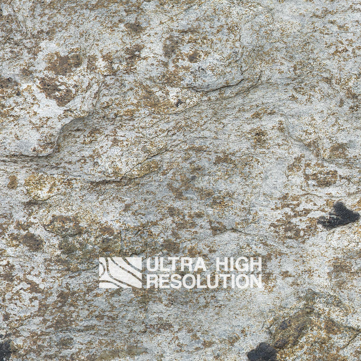 Light Grey Lichen Mottled Rock Texture (271cm x 203cm)