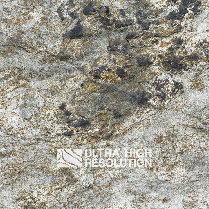Light Grey Lichen Mottled Rock Texture (271cm x 203cm)