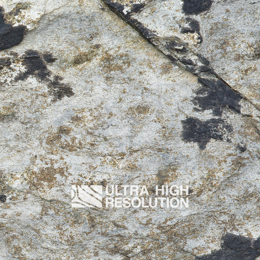Light Grey Lichen Mottled Rock Texture (271cm x 203cm)