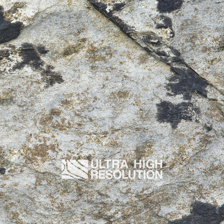 Light Grey Lichen Mottled Rock Texture (271cm x 203cm)