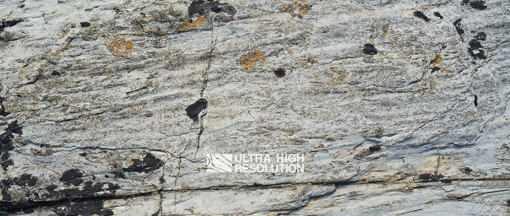 Light Grey Lichen Streaked Rock Texture (271cm x 115cm)