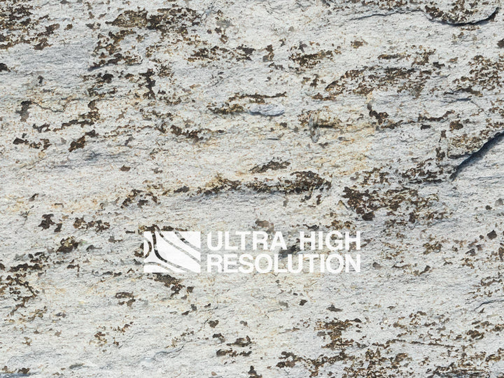 Light Grey Lichen Streaked Rock Texture (271cm x 115cm)