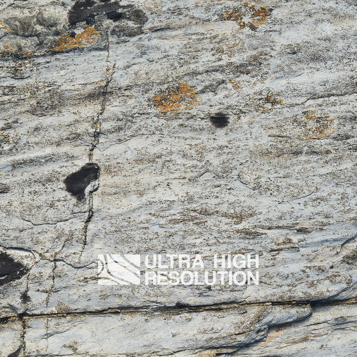 Light Grey Lichen Streaked Rock Texture (271cm x 115cm)