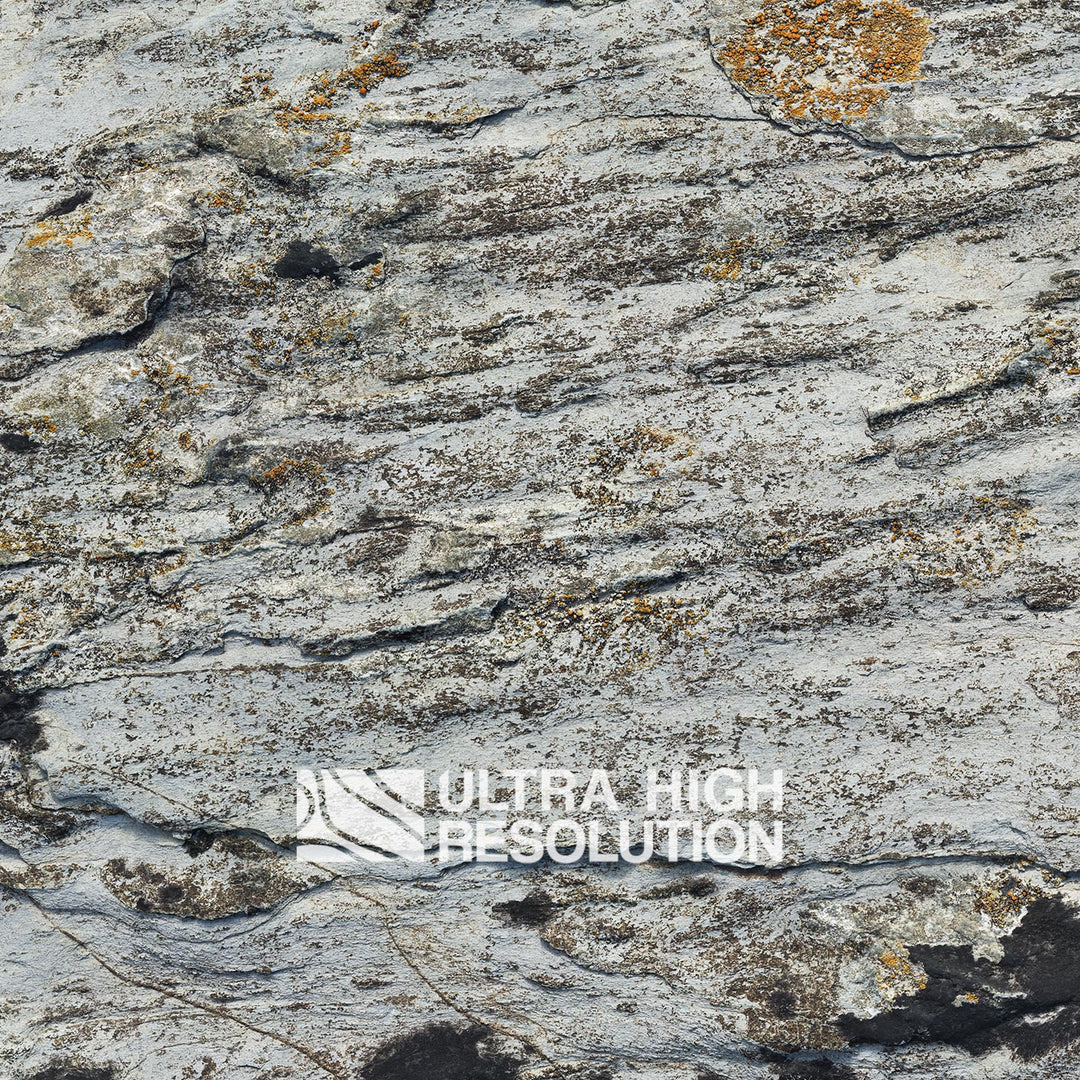 Light Grey Lichen Streaked Rock Texture (271cm x 115cm)