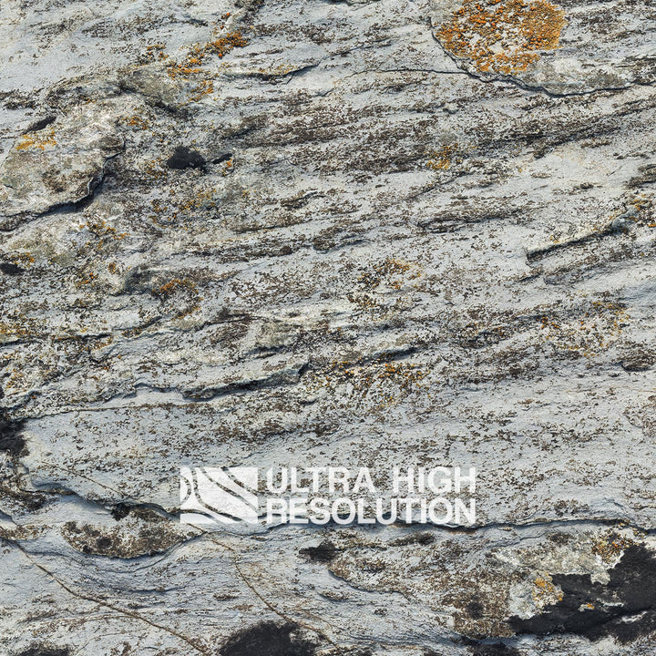 Light Grey Lichen Streaked Rock Texture (271cm x 115cm)