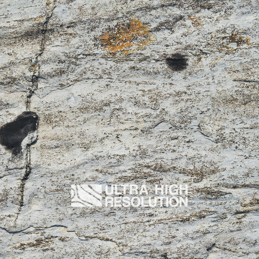Light Grey Lichen Streaked Rock Texture (271cm x 115cm)