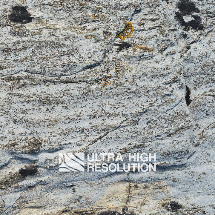 Light Grey Lichen Streaked Rock Texture (271cm x 115cm)
