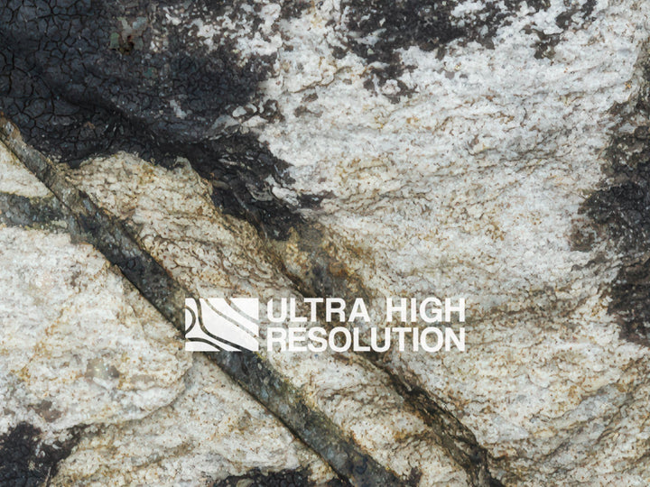 Light Grey Periwinkle Lichen Rock Texture (271cm x 203cm)
