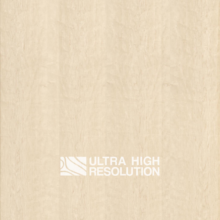 Maple Natural Wood Texture (702cm x 338cm)