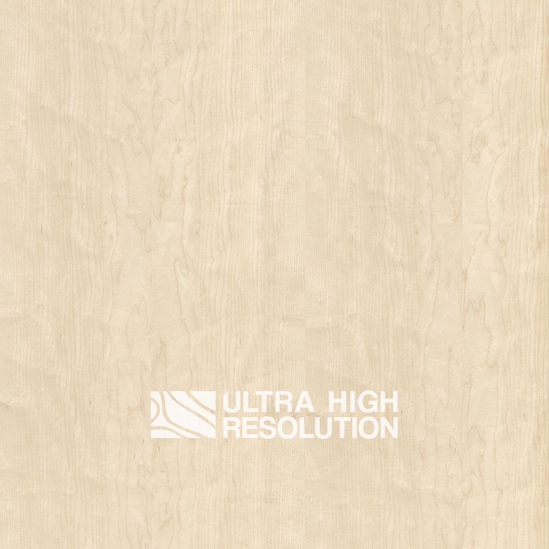 Maple Natural Wood Texture (702cm x 338cm)