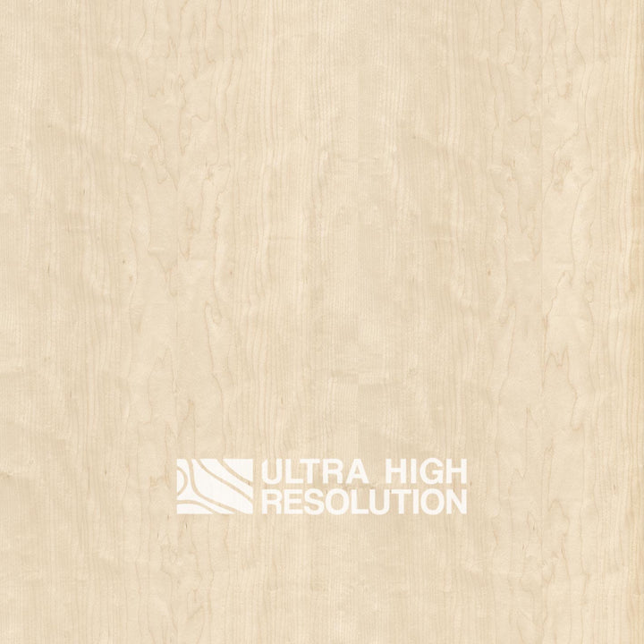 Maple Natural Wood Texture (702cm x 338cm)