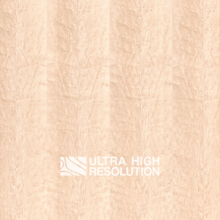 Maple Oiled Wood Texture (701cm x 347cm)