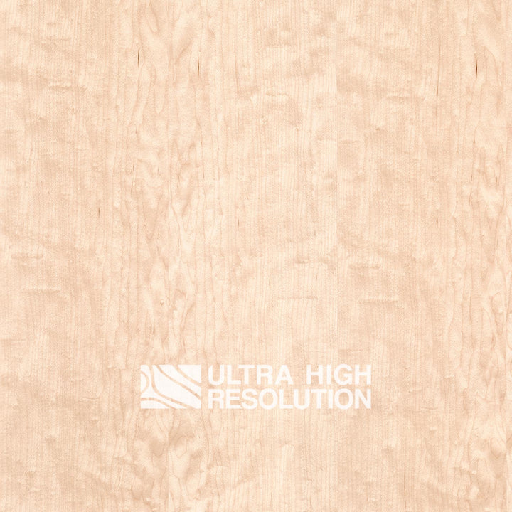 Maple Oiled Wood Texture (701cm x 347cm)