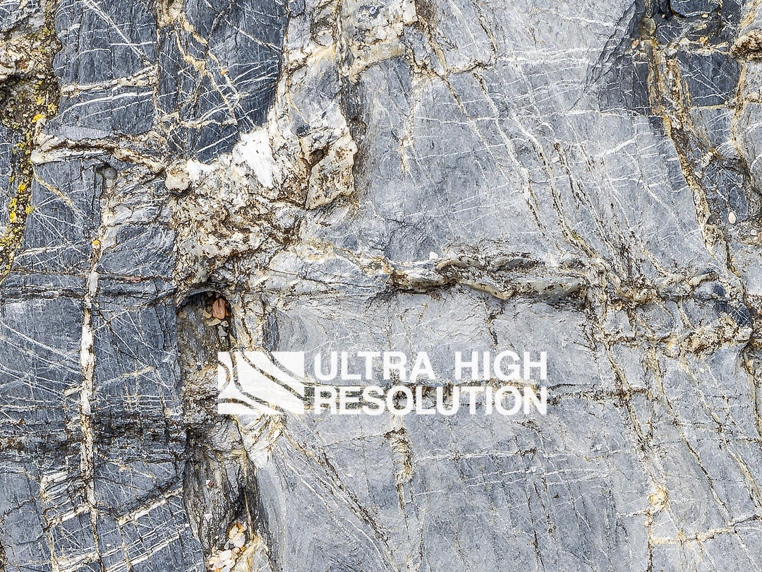 Metamorphic Rock Texture with Intricate White Veining (191cm x 81cm)