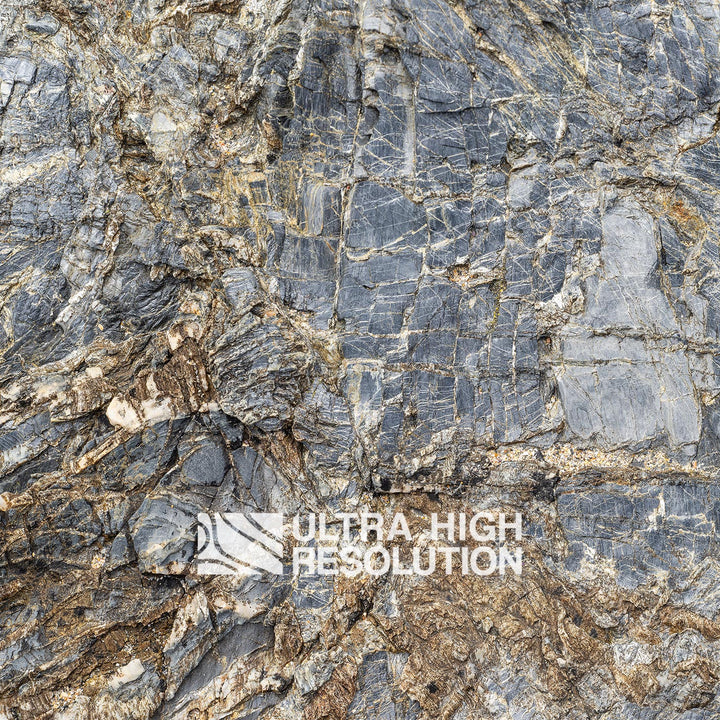 Metamorphic Rock Texture with Intricate White Veining (191cm x 81cm)