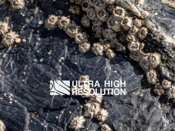 Natural Dry Grey Rock Pool Surface (342cm x 147cm)