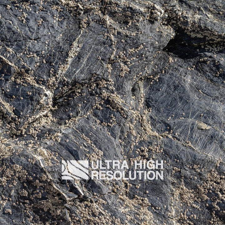 Natural Dry Grey Rock Pool Surface (342cm x 147cm)