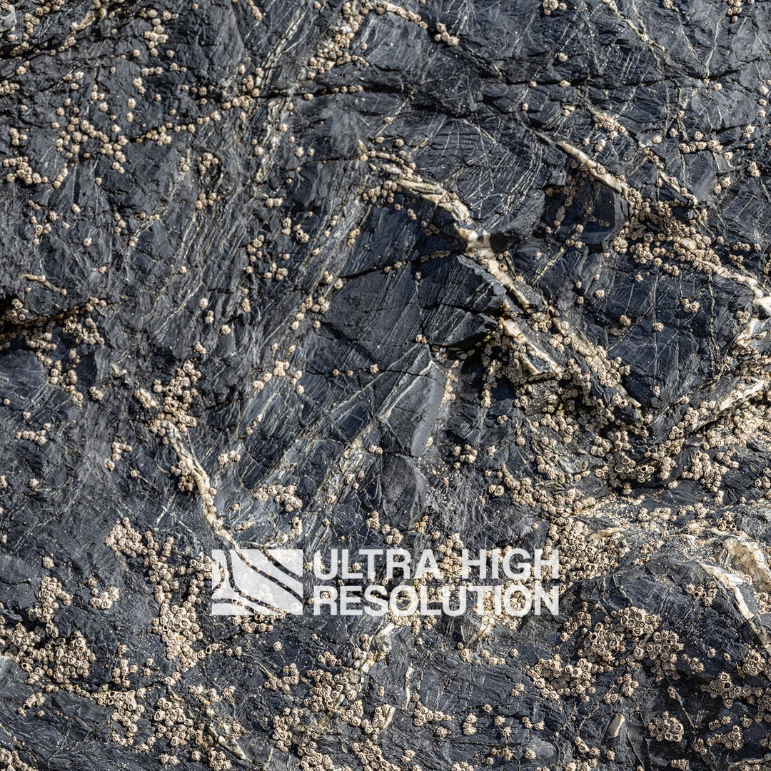Natural Dry Grey Rock Pool Surface (342cm x 147cm)