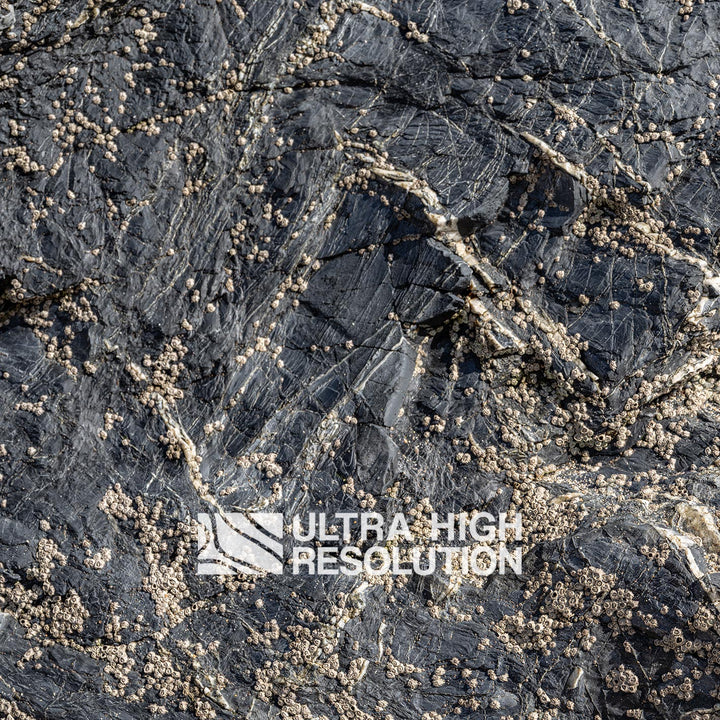 Natural Dry Grey Rock Pool Surface (342cm x 147cm)