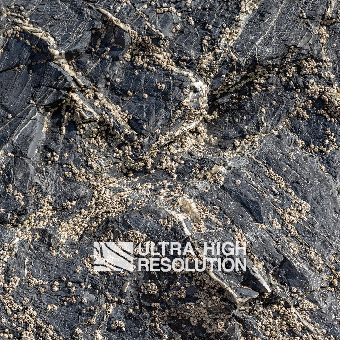 Natural Dry Grey Rock Pool Surface (342cm x 147cm)