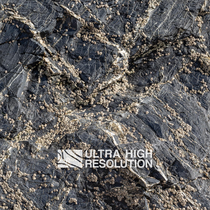 Natural Dry Grey Rock Pool Surface (342cm x 147cm)