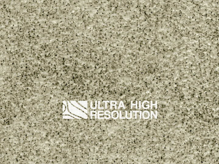 Olive Cement Plaster with Weathered Chalky Texture (306cm x 257cm)