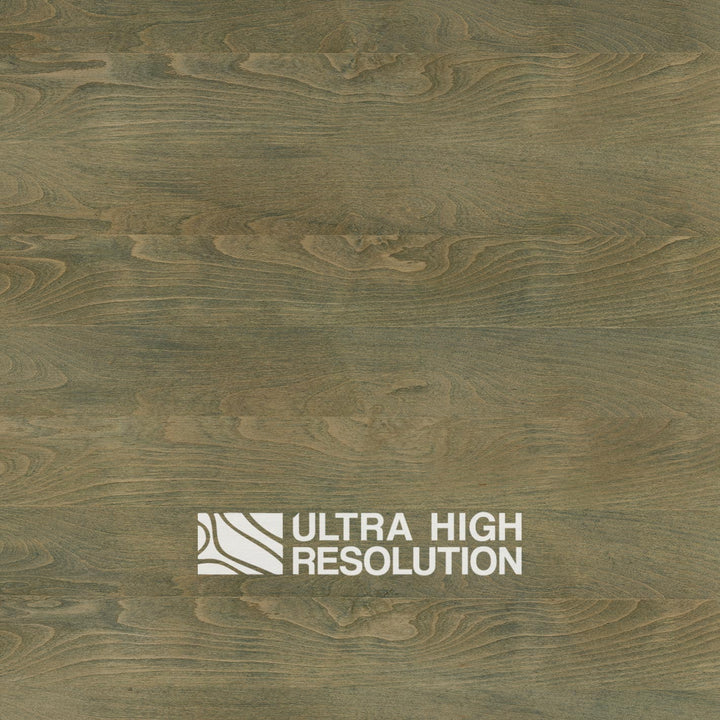 Olive Green Washed Wood Texture (709cm x 308cm)