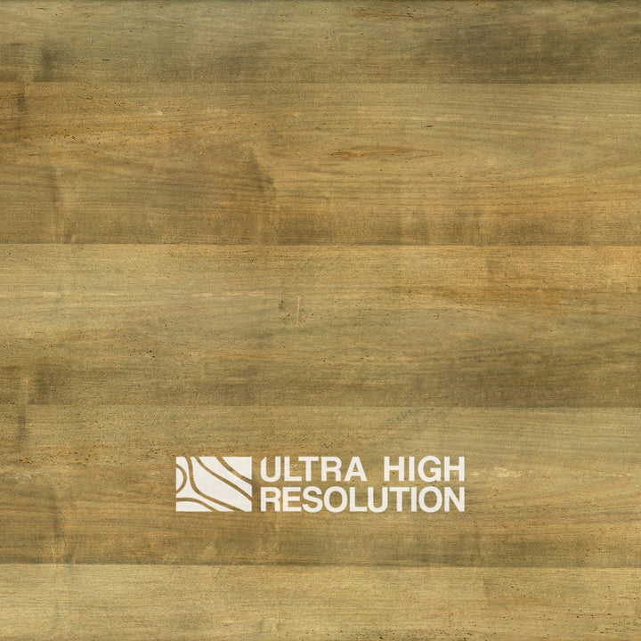 Olive Green Washed Wood Texture (697cm x 306cm)