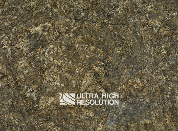 Olive Mottled Intertidal Rock Texture (271cm x 200cm)