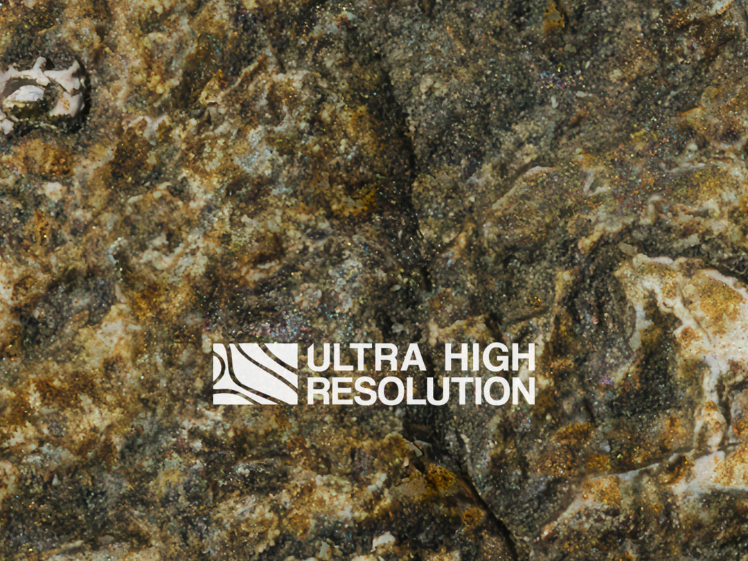 Olive Mottled Intertidal Rock Texture (271cm x 200cm)
