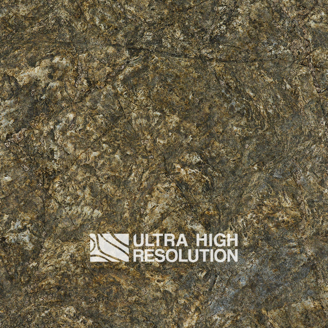 Olive Mottled Intertidal Rock Texture (271cm x 200cm)