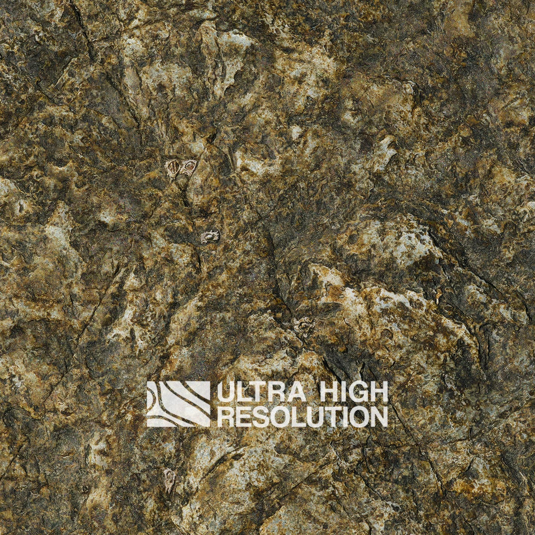 Olive Mottled Intertidal Rock Texture (271cm x 200cm)