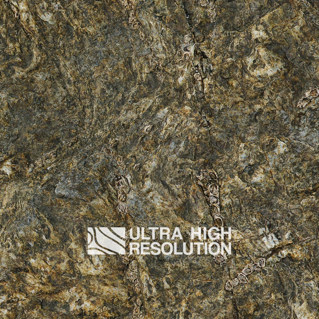 Olive Mottled Intertidal Rock Texture (271cm x 200cm)