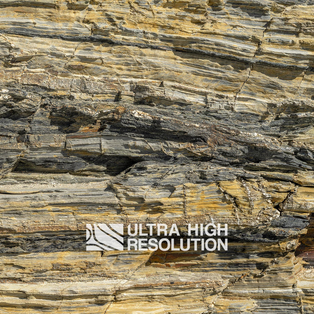 Pale Yellow Sedimentary Rock Strata Texture (343cm x 147cm)