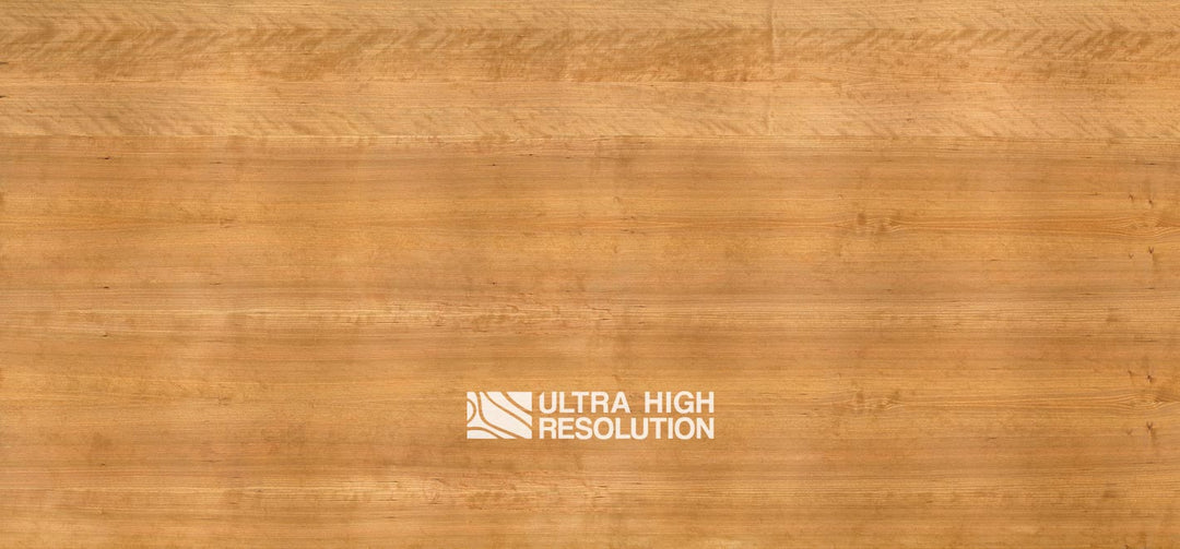 Quarter-Sawn Sapele Texture (706cm x 329cm)