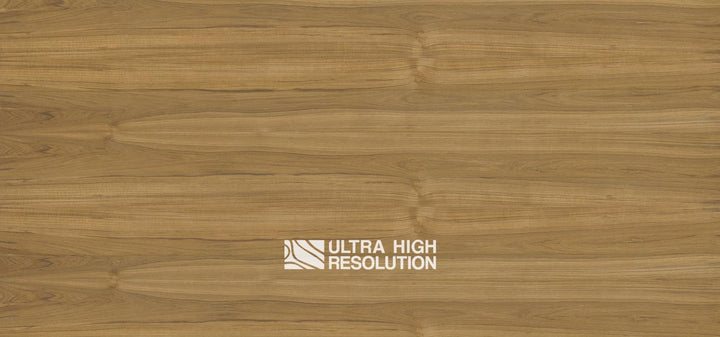 Rare Teak Natural Wood Texture (715cm x 335cm)