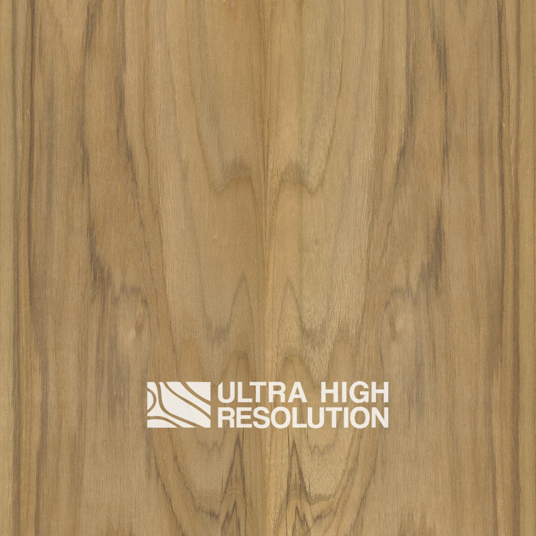 Rare Teak Natural Wood Texture (692cm x 347cm)