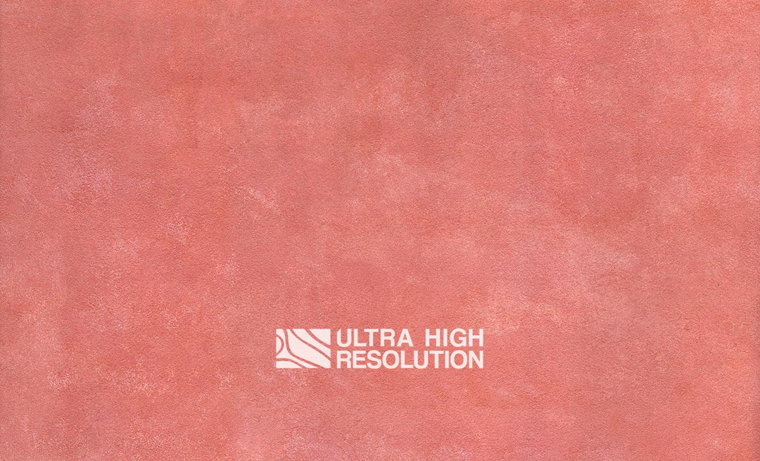 Reddish pink Plaster Texture (422cm x 256cm)