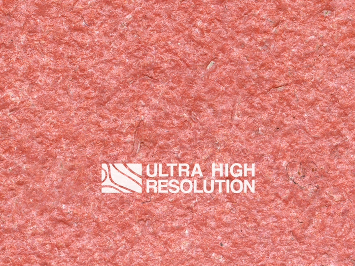 Reddish pink Plaster Texture (422cm x 256cm)