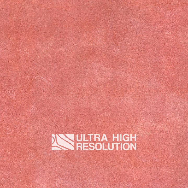 Reddish pink Plaster Texture (422cm x 256cm)